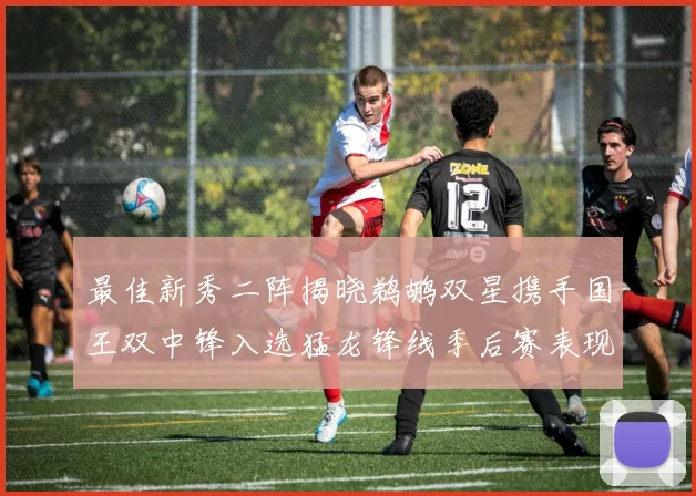 最佳新秀二阵揭晓鹈鹕双星携手国王双中锋入选猛龙锋线季后赛表现抢眼
